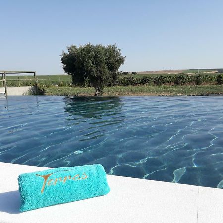 Terras - Agroturismo & Vinhos Beja Exterior foto