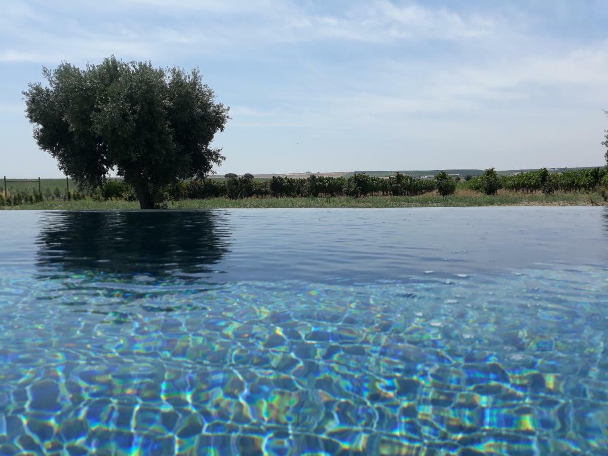 Terras - Agroturismo & Vinhos Beja Exterior foto